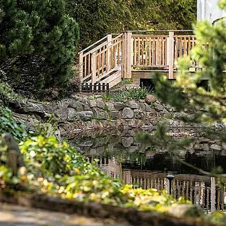 I Restauracja Czarny Kos *